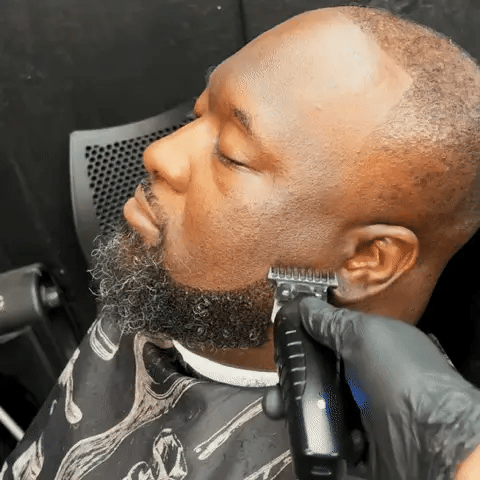Trimmer electric clippers